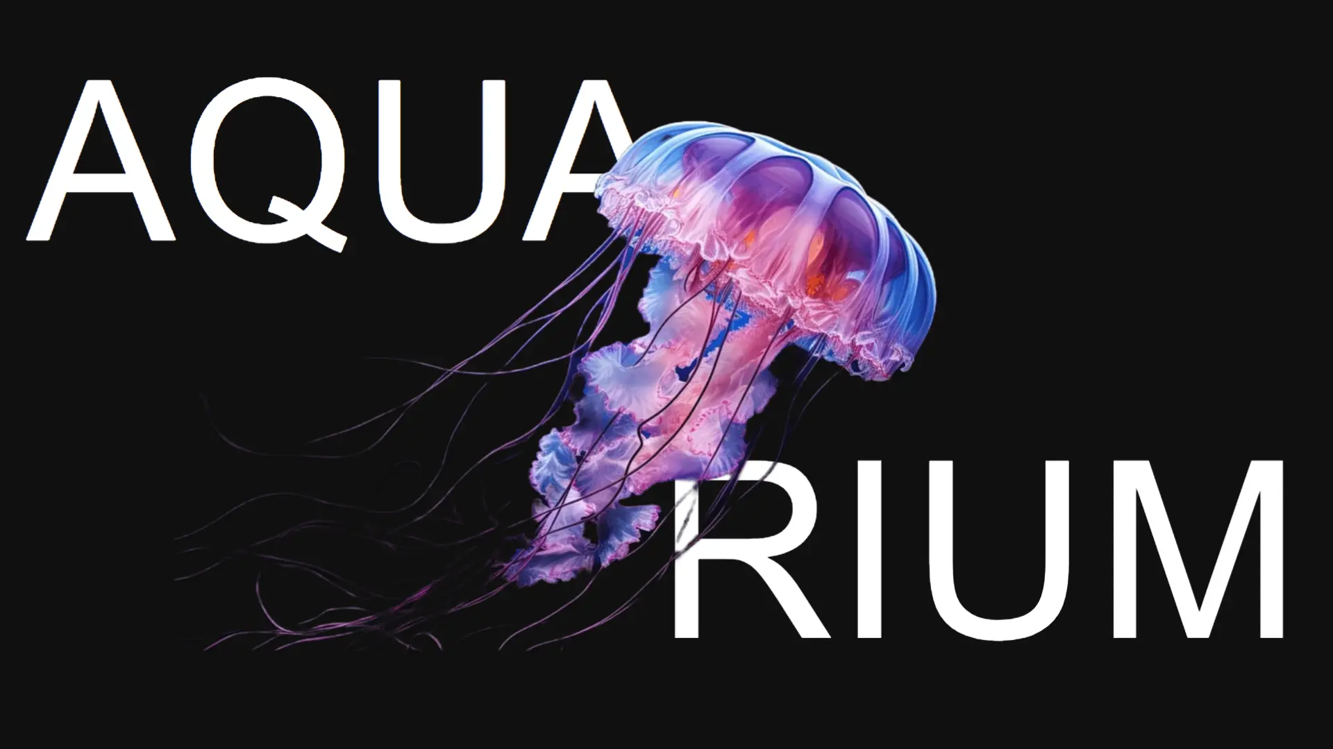 Bright Aquarium - Aquarium website built using Next.js and Framer Motion